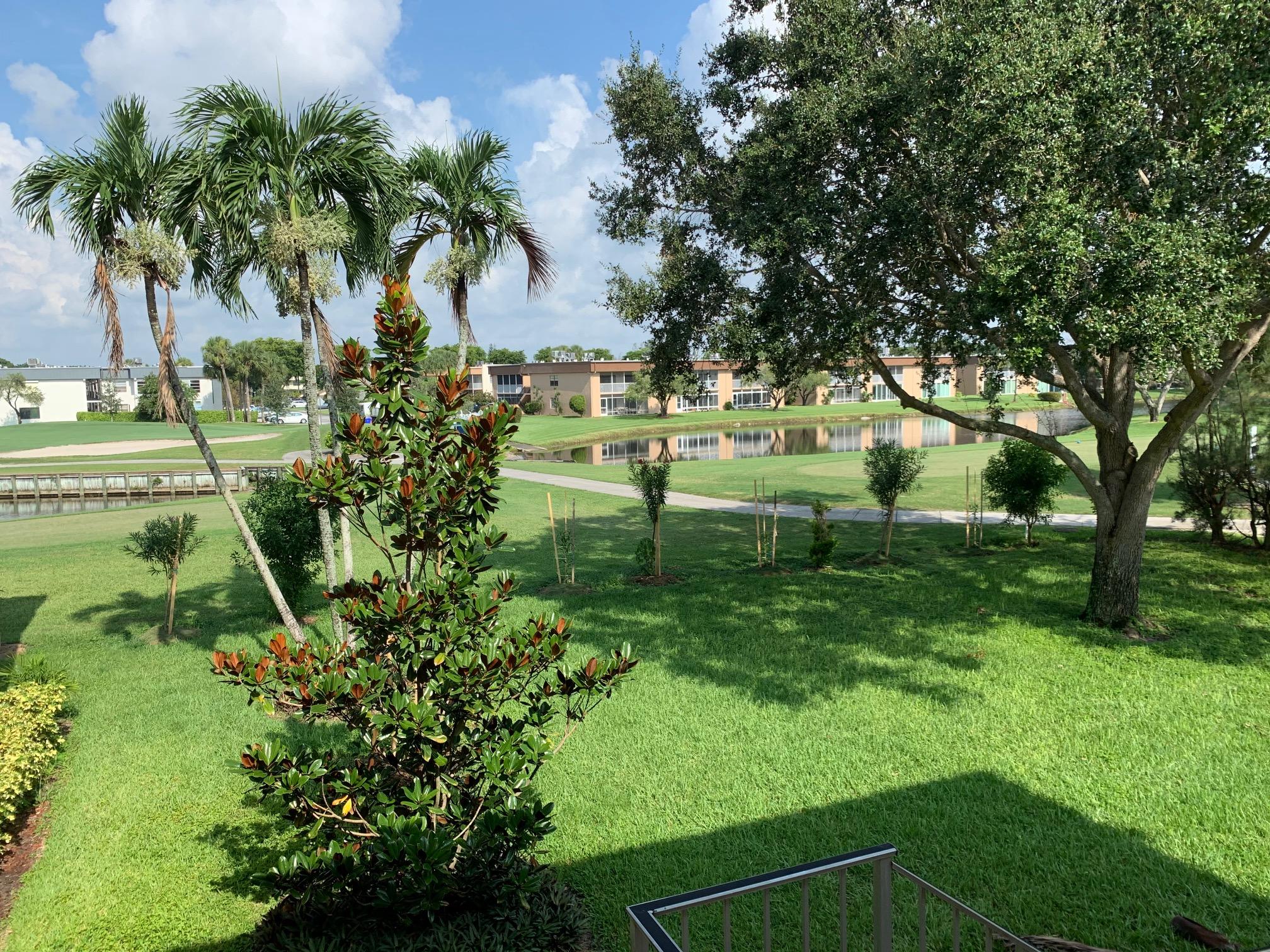 View from the living room