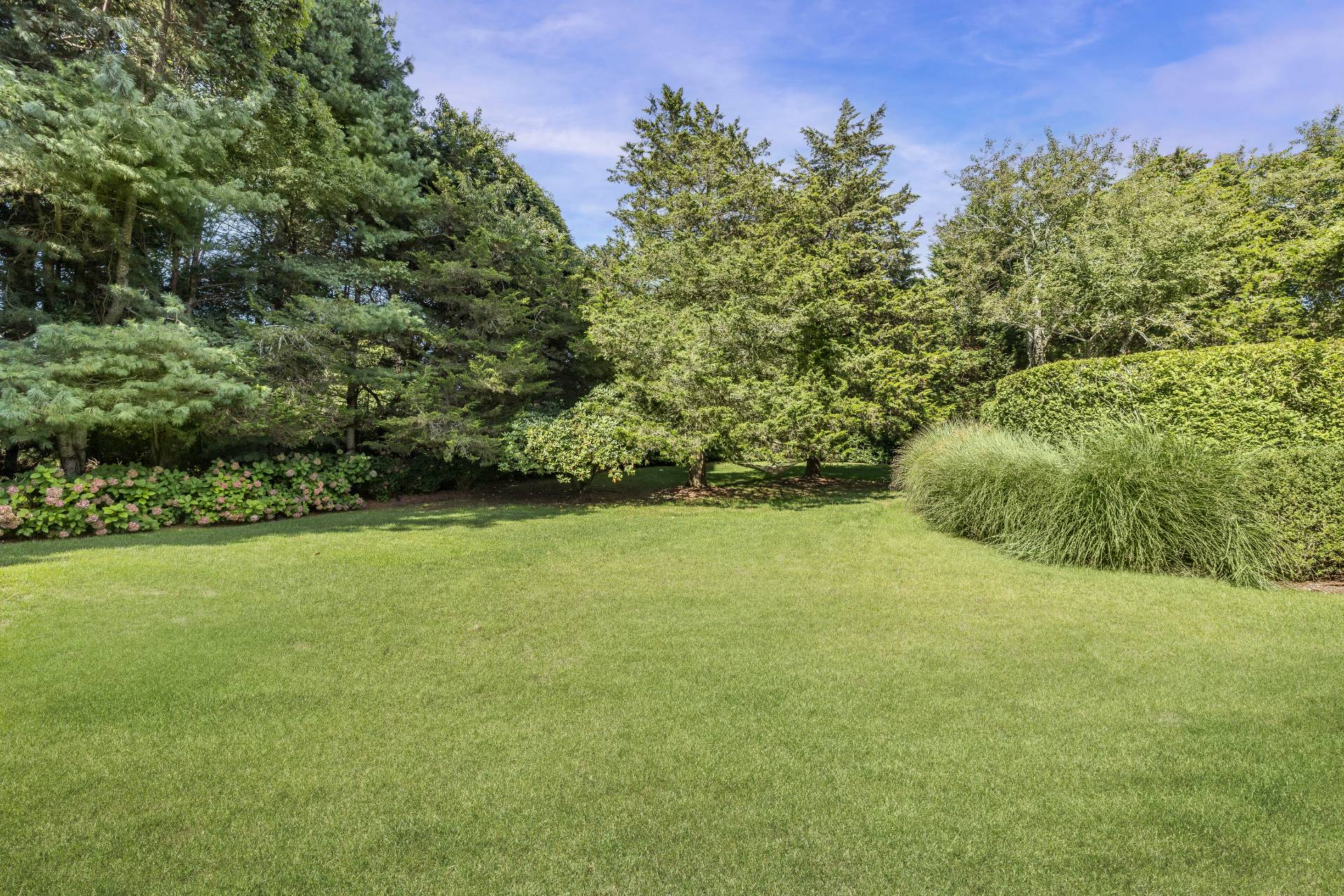 267 Meadows West Bridgehampton, NY 11932 - Photo 27 of 27 a view of a field with an trees