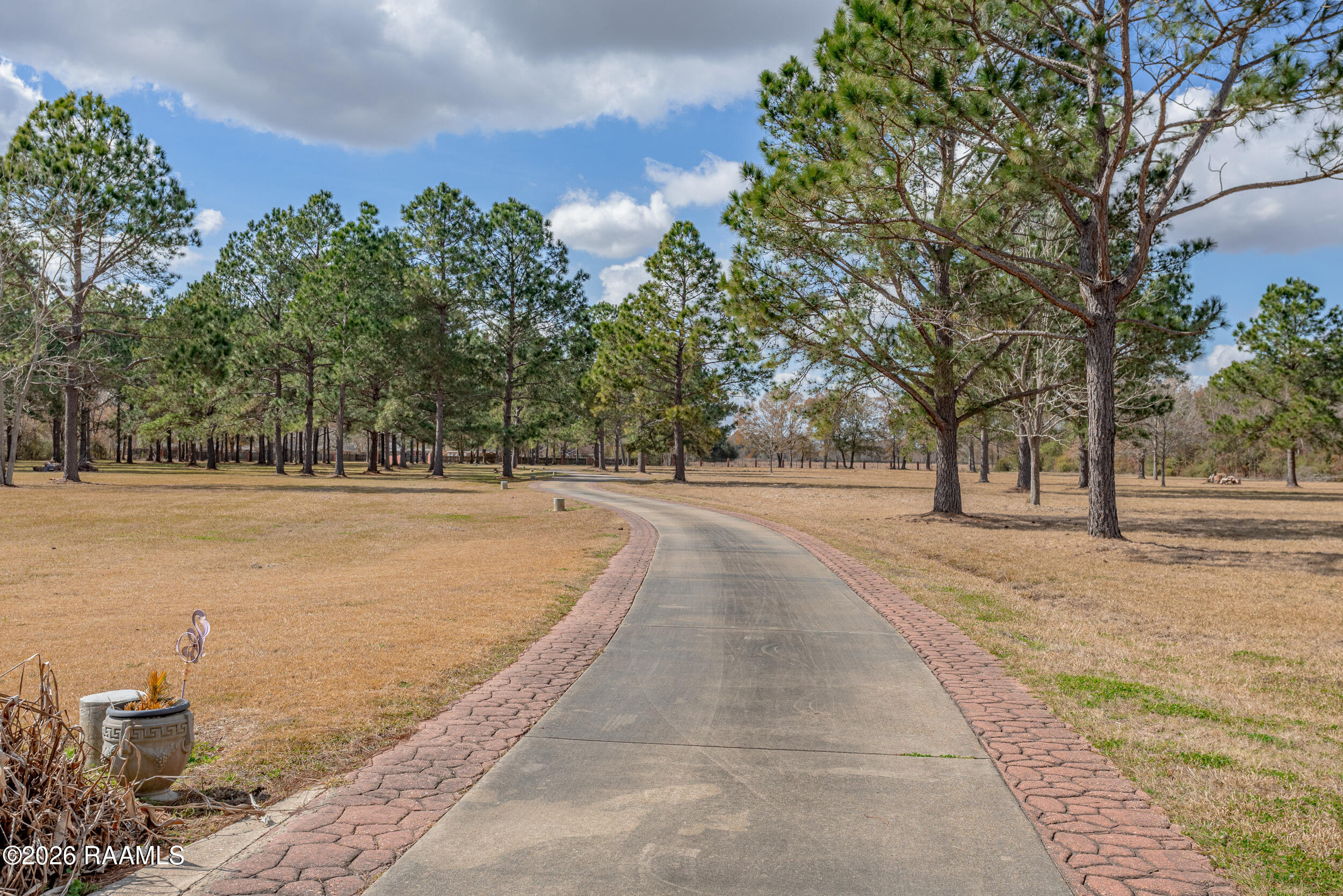 130 Percy Road Lafayette, LA 70506 - Photo 3 of 49 130 Percy Road long driveway