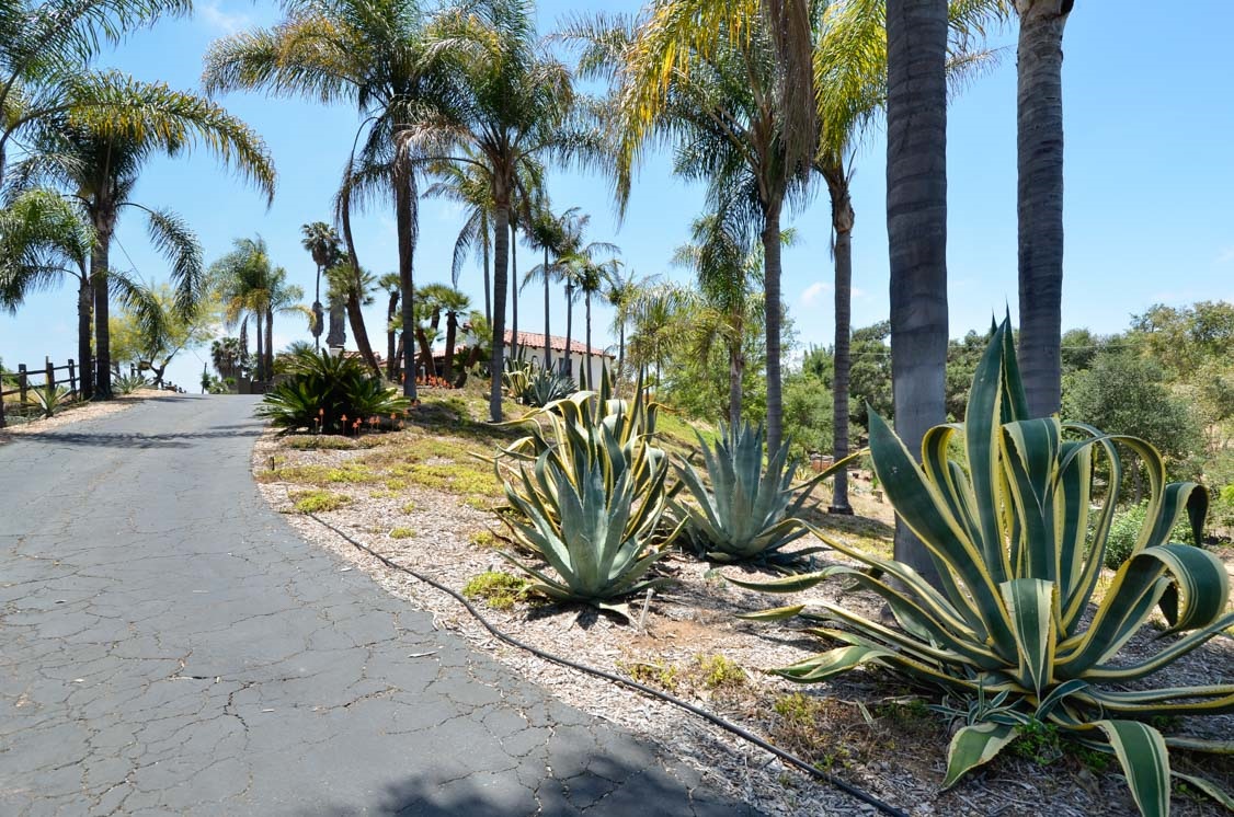 134 Morro Hills Road Fallbrook, CA 92028 - Photo 1 of 25