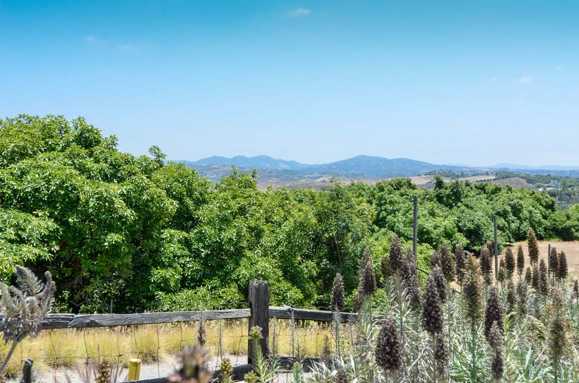 134 Morro Hills Road Fallbrook, CA 92028 - Photo 23 of 25