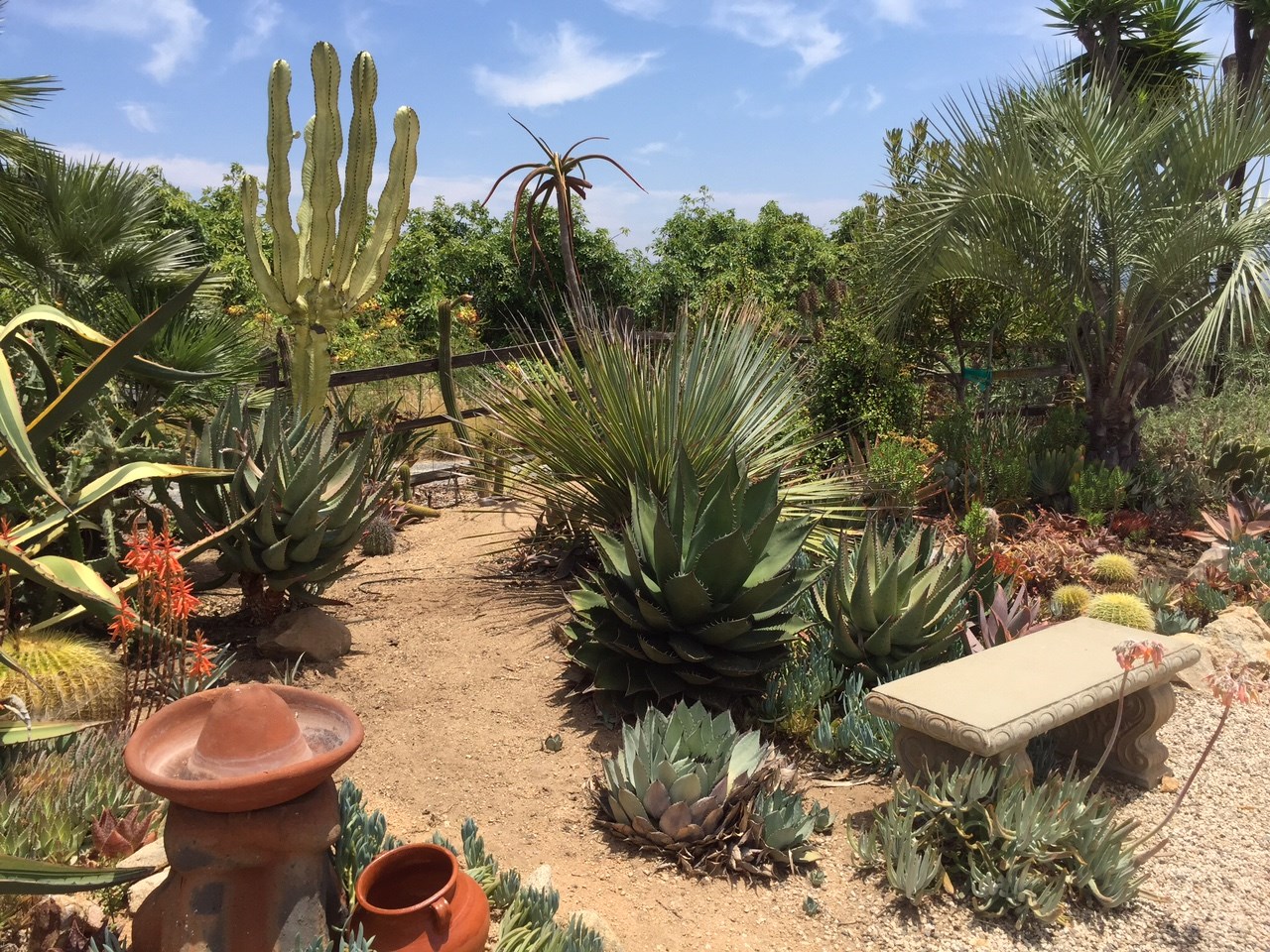 134 Morro Hills Road Fallbrook, CA 92028 - Photo 24 of 25