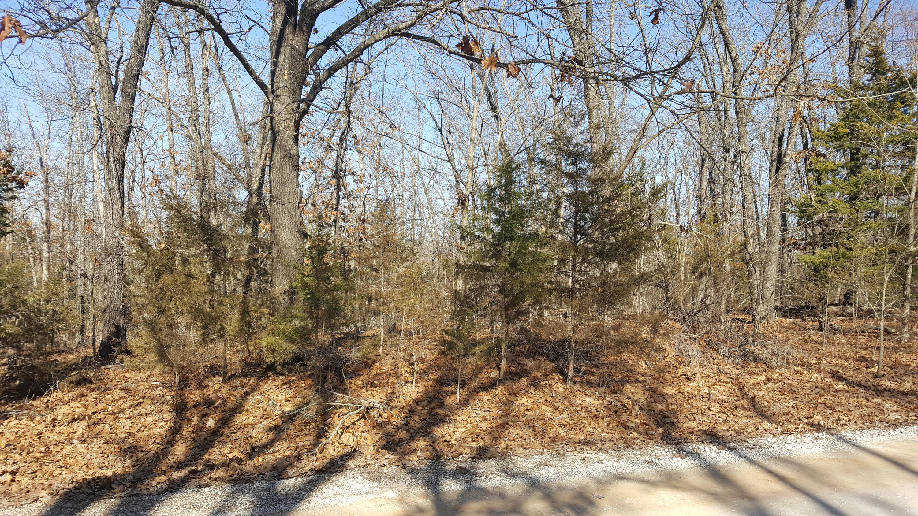 32-33 Falling Star Road Lampe, MO 65681 - Photo 1 of 1 Wooded Lot