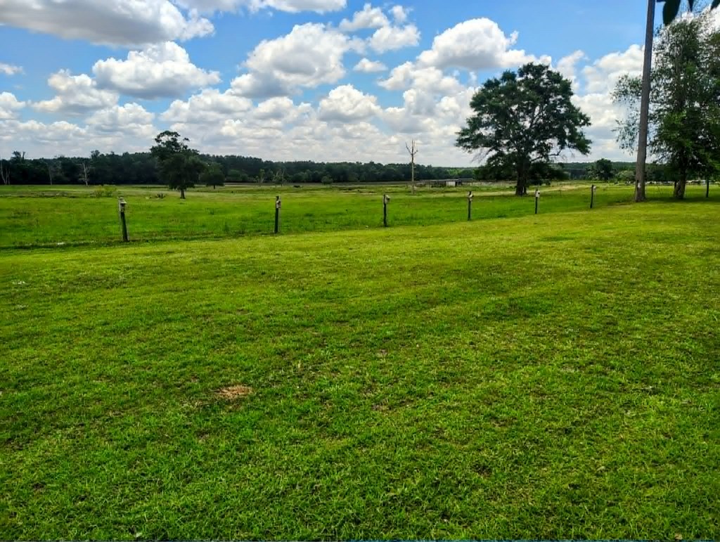 1741 Eddins Road Dothan, AL 36301 - Photo 40 of 41