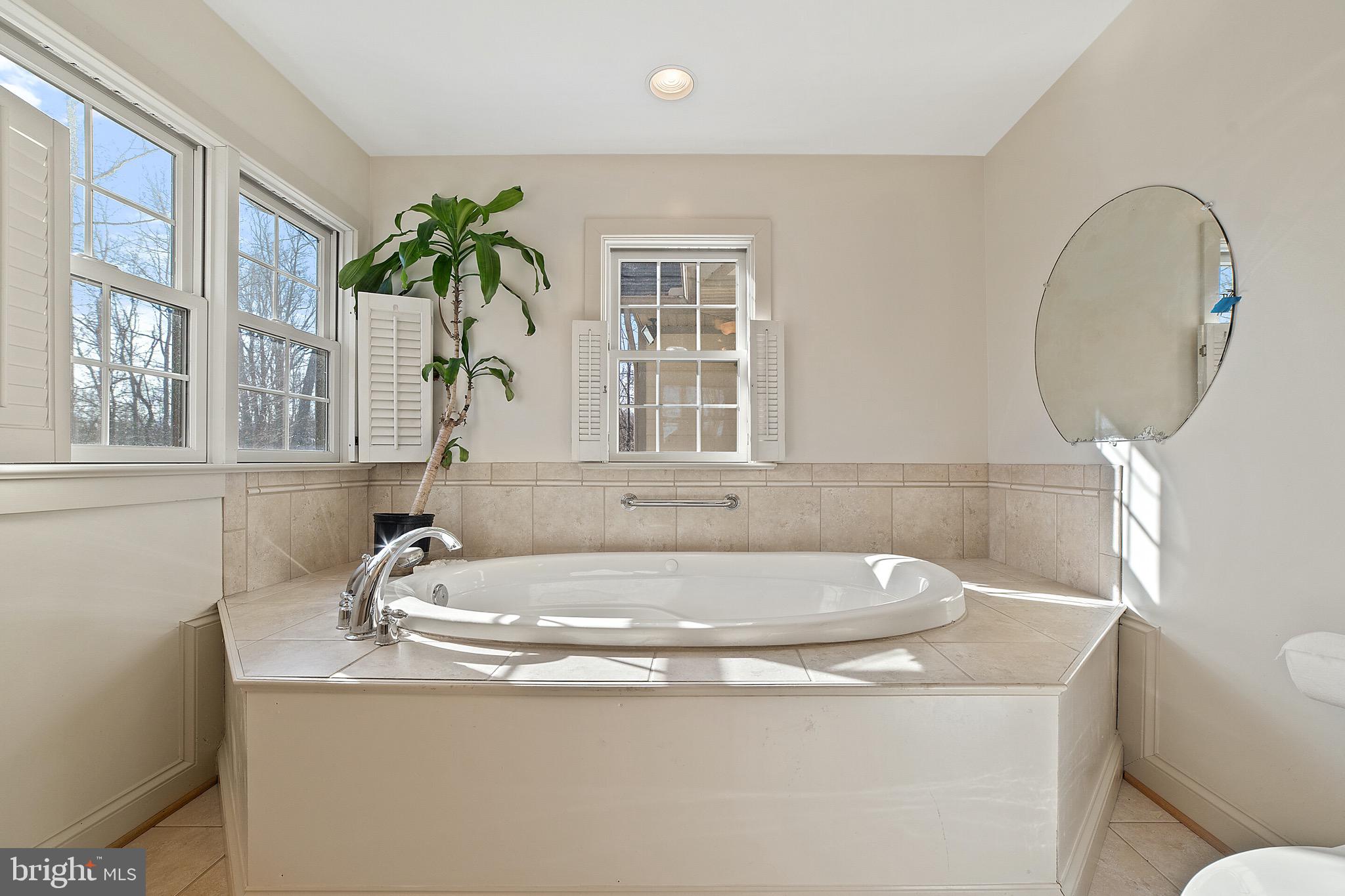 446 Round Hill Road Boston, VA 22713 - Photo 14 of 43 Owner's bath Soaking tub