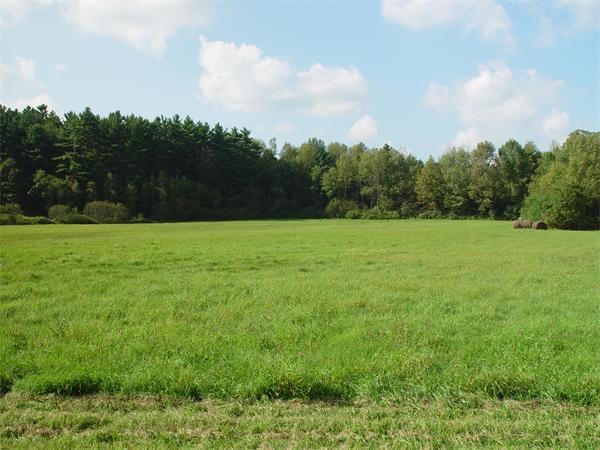 338 Ware Corner Road Oakham, MA 01068 - Photo 12 of 20 a view of field with trees in the background