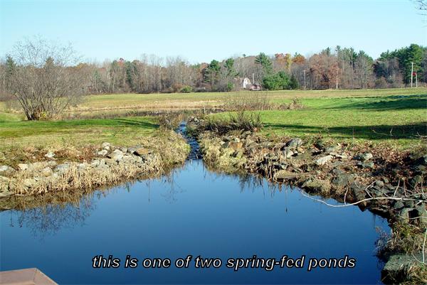 338 Ware Corner Road Oakham, MA 01068 - Photo 19 of 20 a view of a field with an ocean view