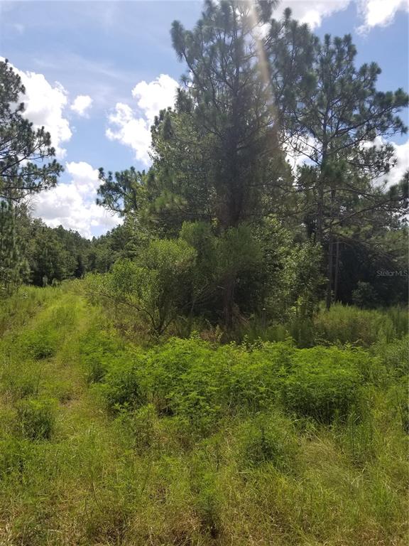 0 Southwest 159th Ave Road Ocala, FL 34481 - Photo 1 of 1
