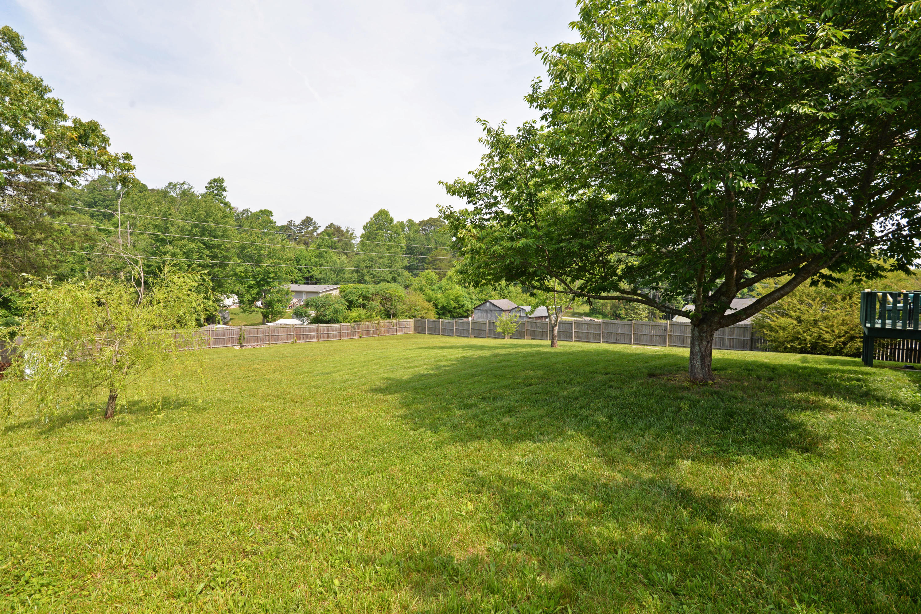 12433 Pendergrass Road Soddy-Daisy, TN 37379 - Photo 22 of 24 Back yard view 1