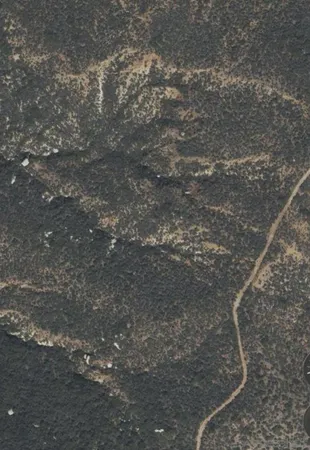 a picture of a dry yard
