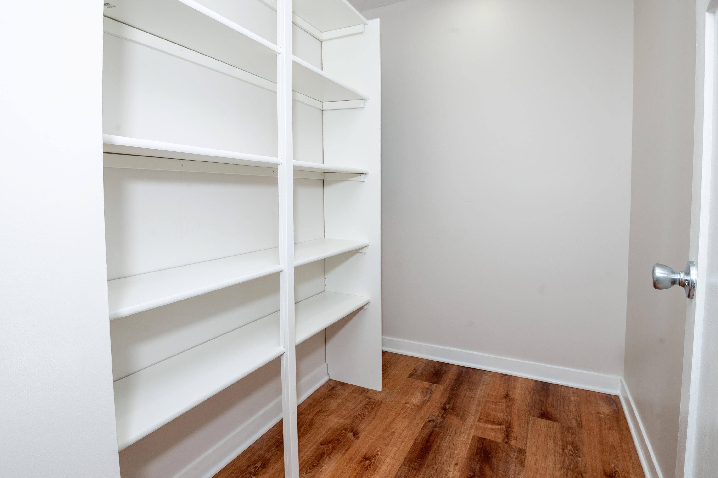 1372 Barron Lake Road Niles, MI 49120 - Photo 12 of 36 Walk in Pantry