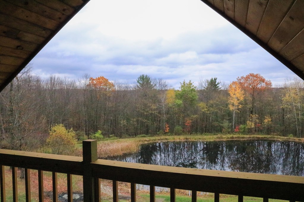 135 Larue Road Danby, NY 14883 - Photo 40 of 58 Gallery Image 40