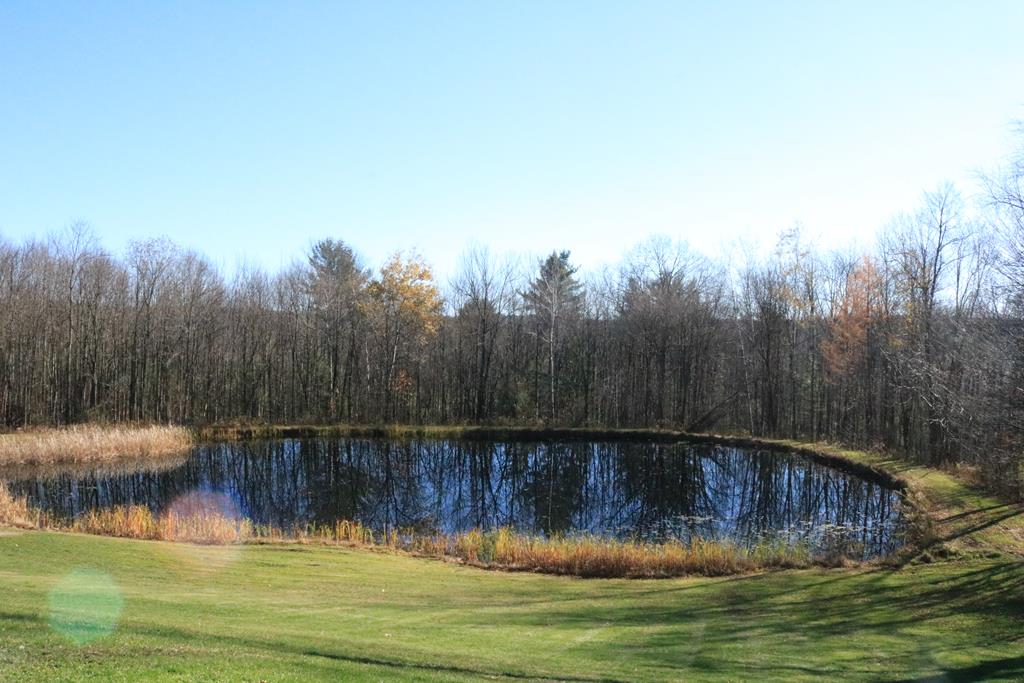 135 Larue Road Danby, NY 14883 - Photo 53 of 58 Gallery Image 53