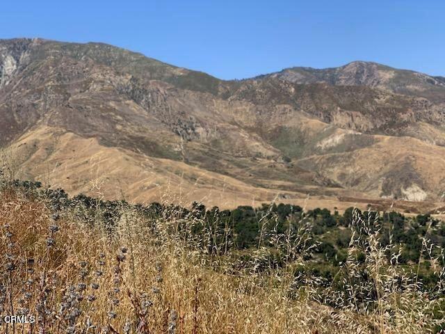 4240 Timber Canyon Road Santa Paula, CA 93060 - Photo 3 of 4 a view of a dry yard with mountains in the background