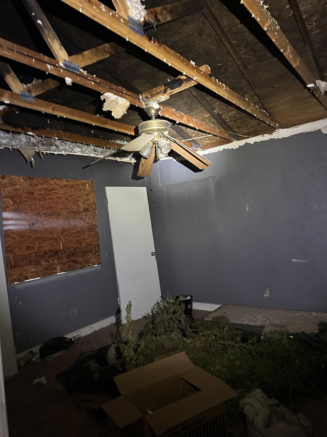 2617 West Hatch Road Modesto, CA 95358 - Photo 5 of 7 a view of outdoor space