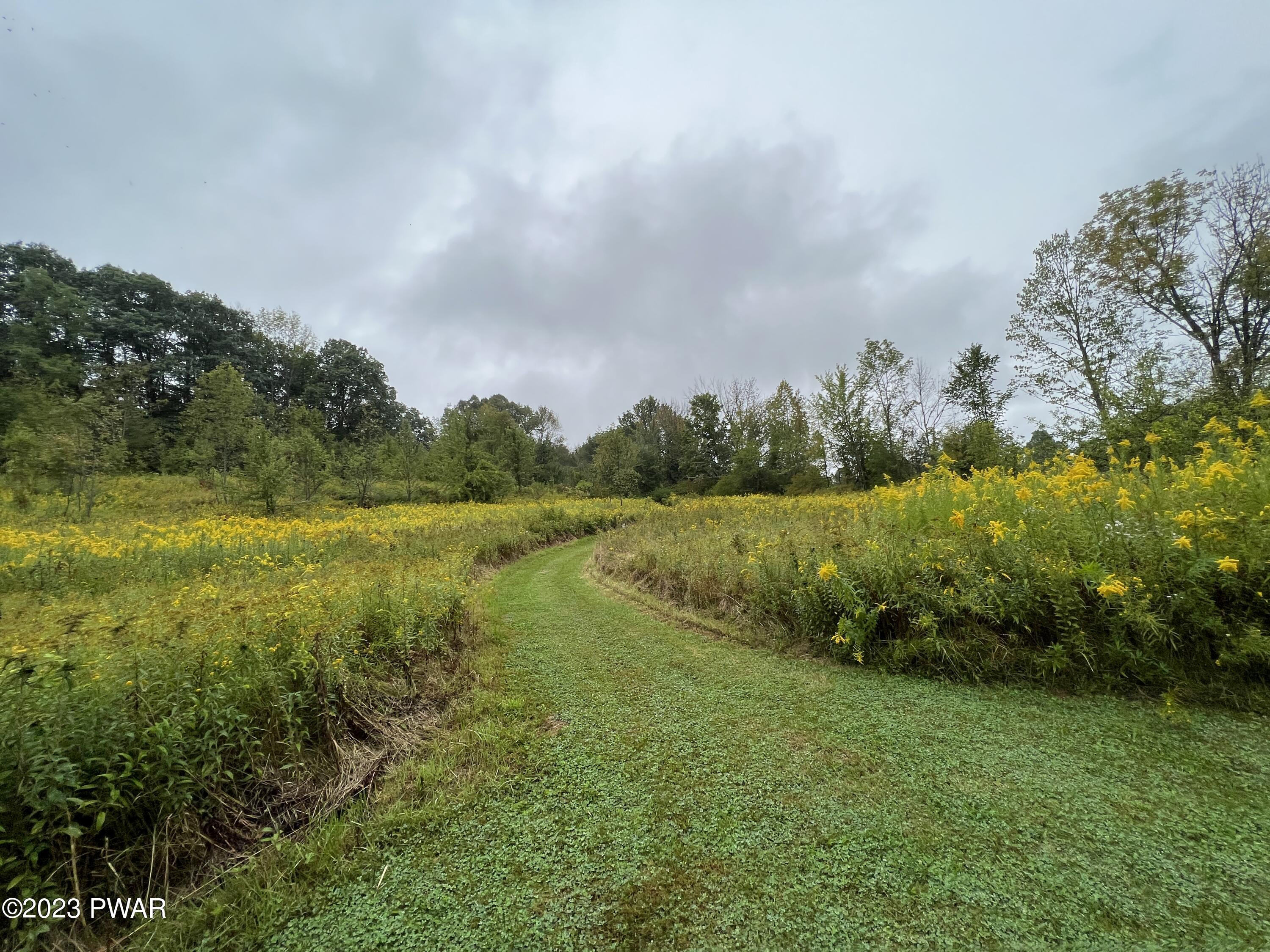 254 Big Hills Road Lake Ariel, PA 18436 - Photo 13 of 91