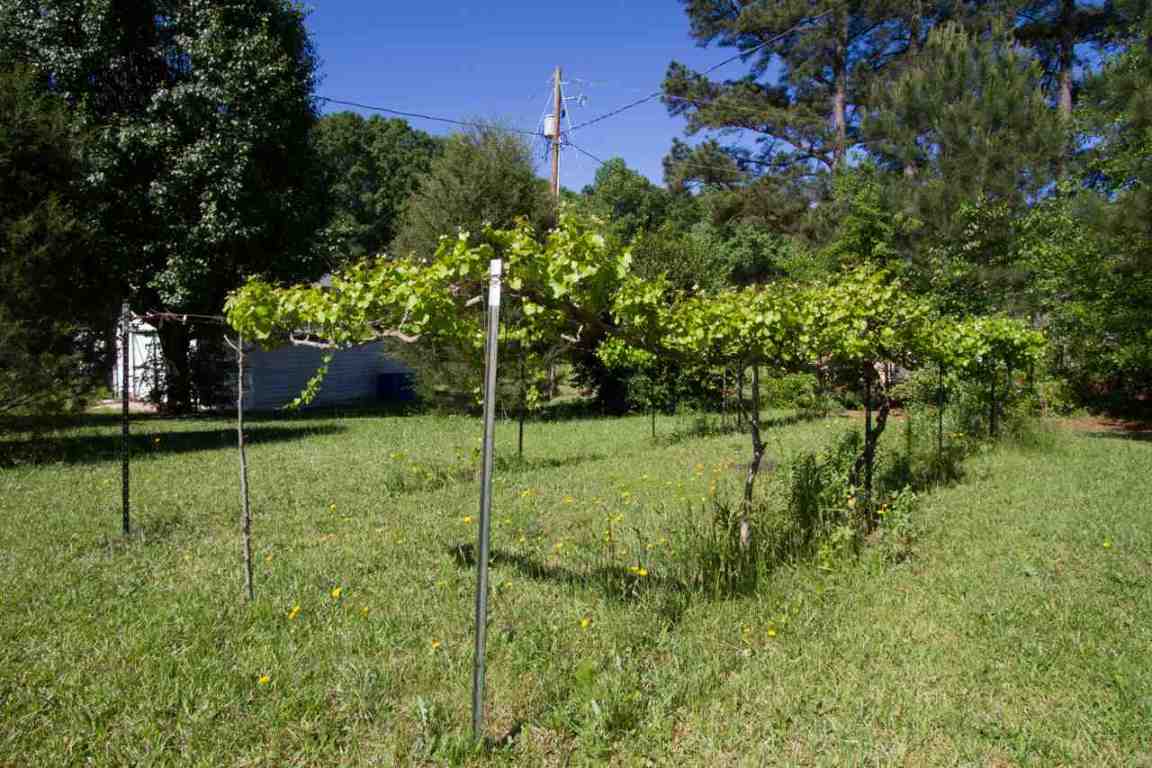 319 Five Forks Road Anderson, SC 29621 - Photo 29 of 29 Gallery Image 29