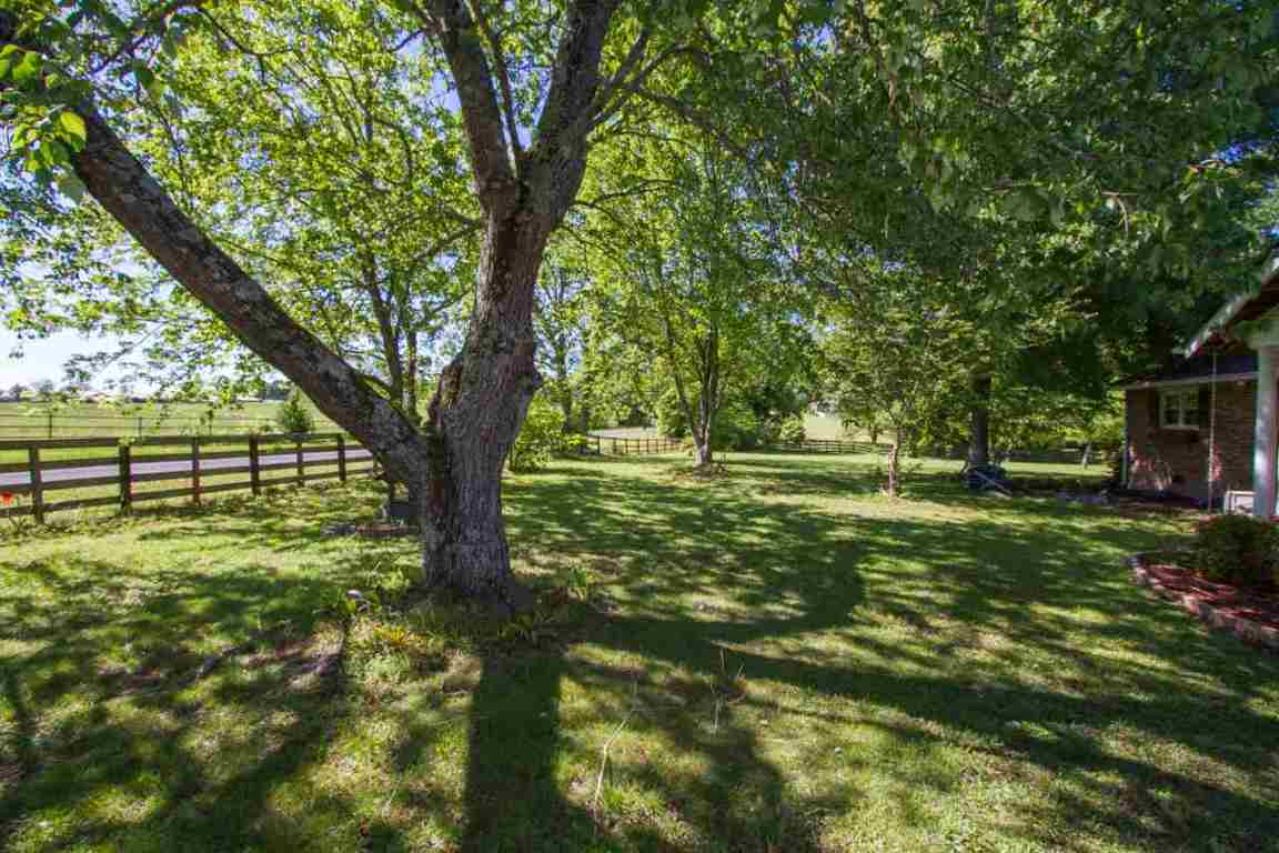 319 Five Forks Road Anderson, SC 29621 - Photo 6 of 29 Gallery Image 6