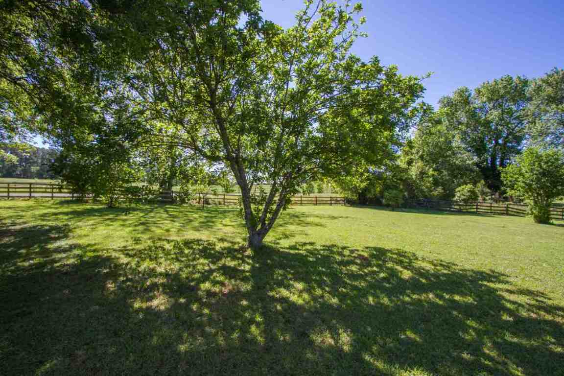 319 Five Forks Road Anderson, SC 29621 - Photo 8 of 29 Gallery Image 8