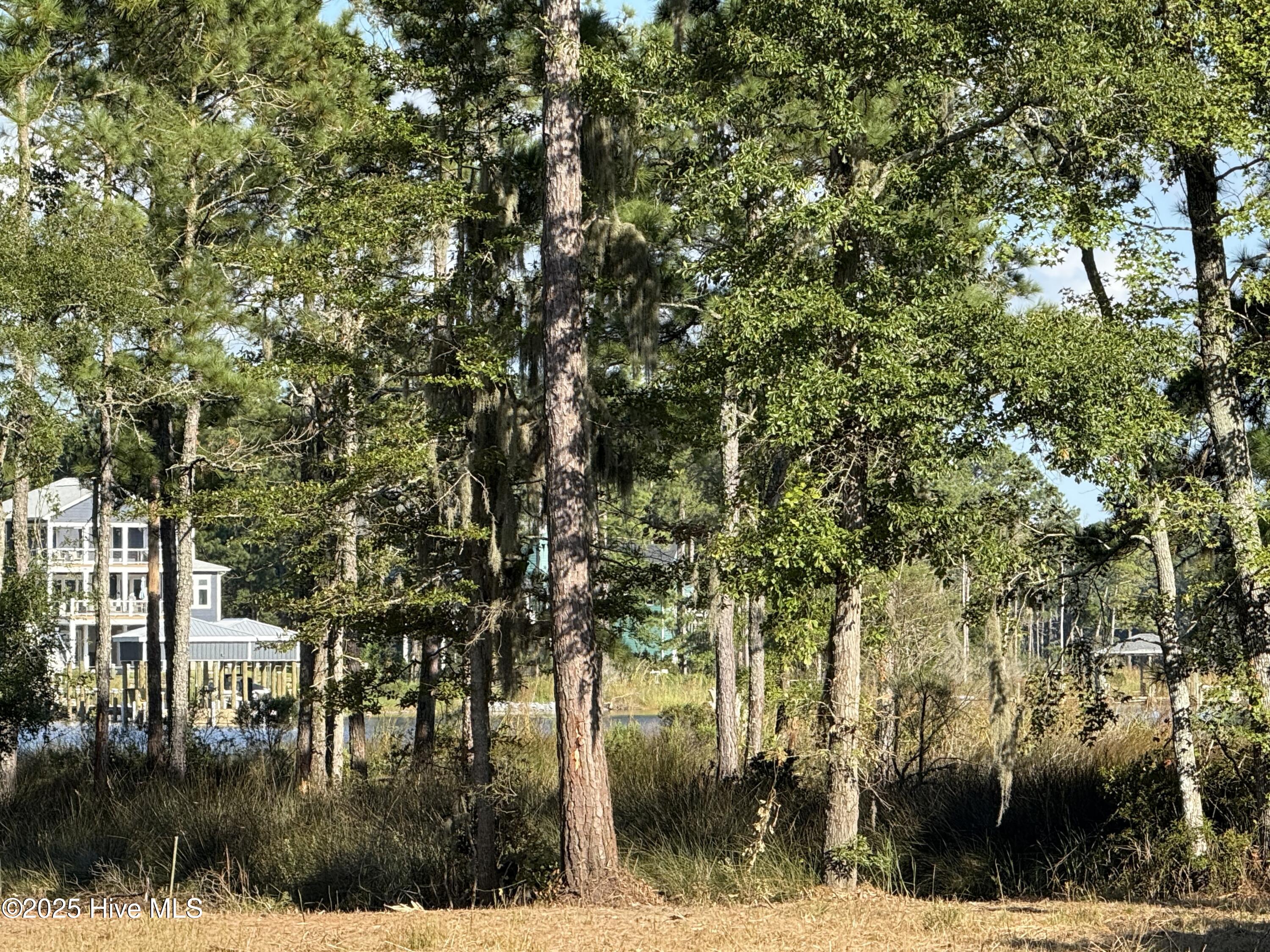 39 Sunset Road Belhaven, NC 27810 - Photo 11 of 11 IMG_0095