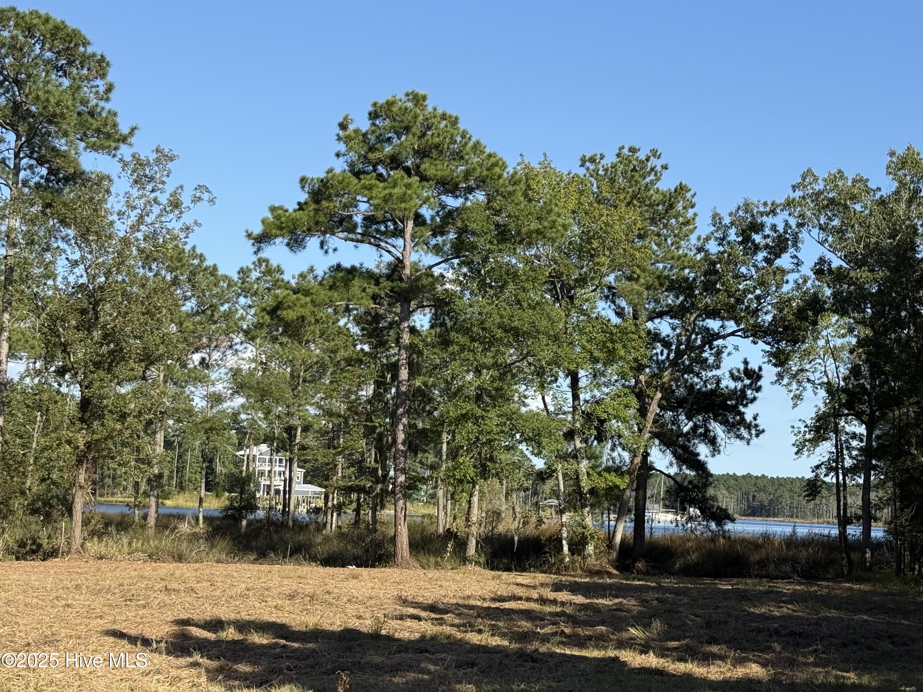 39 Sunset Road Belhaven, NC 27810 - Photo 2 of 11 IMG_0091