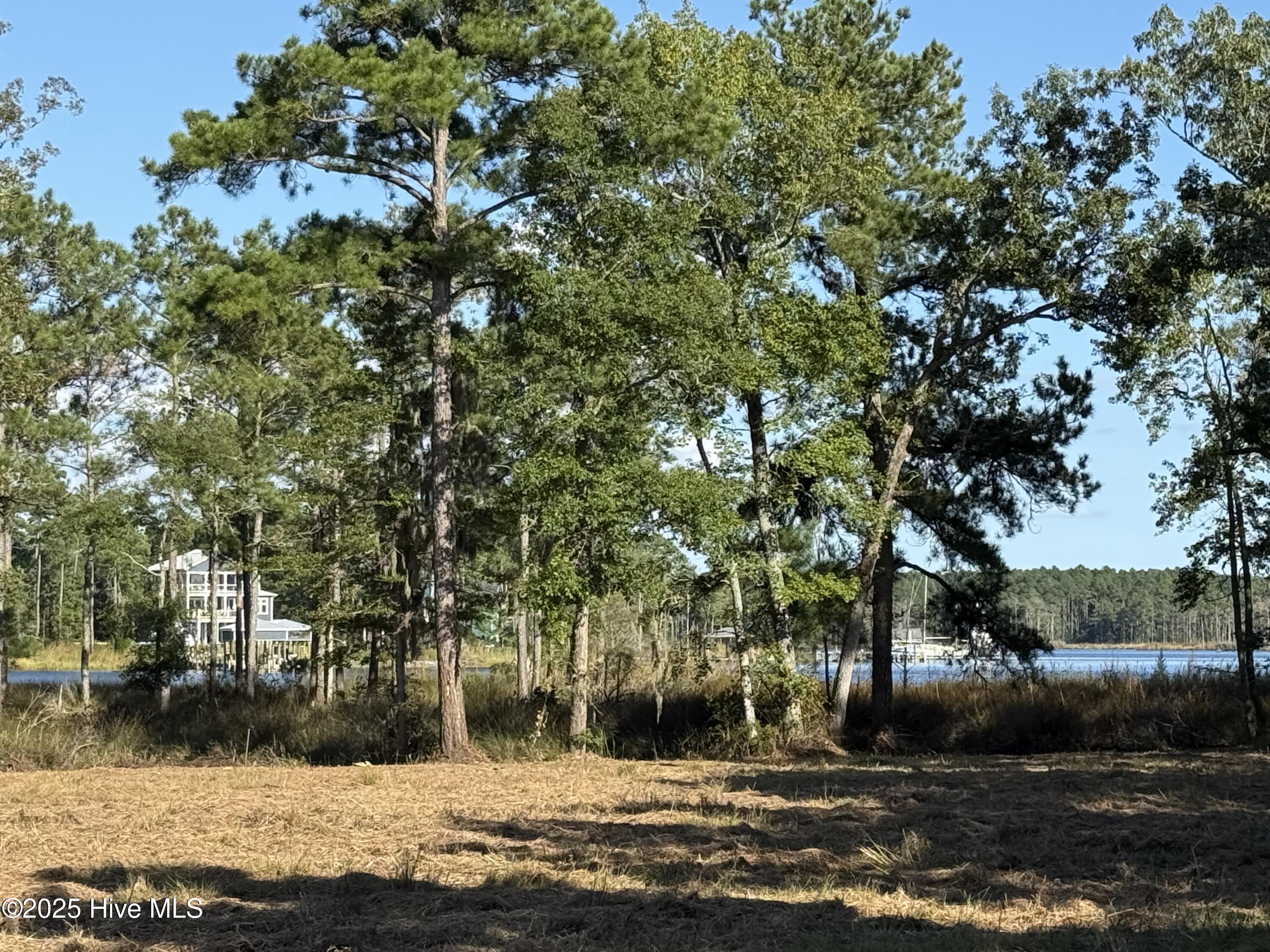 39 Sunset Road Belhaven, NC 27810 - Photo 10 of 11 IMG_0093