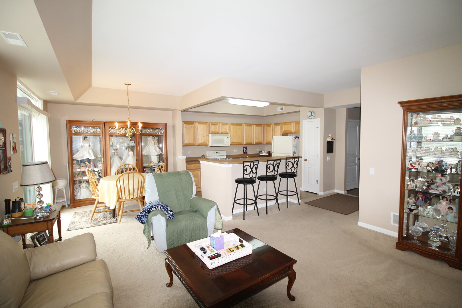 13588 Delaney Road Huntley, IL 60142 - Photo 6 of 26