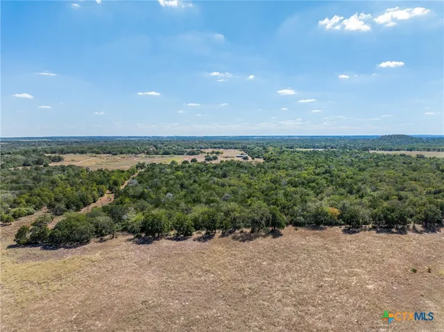 a view of a forest with trees in the background
