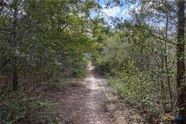 an aerial view of a beach with a yard