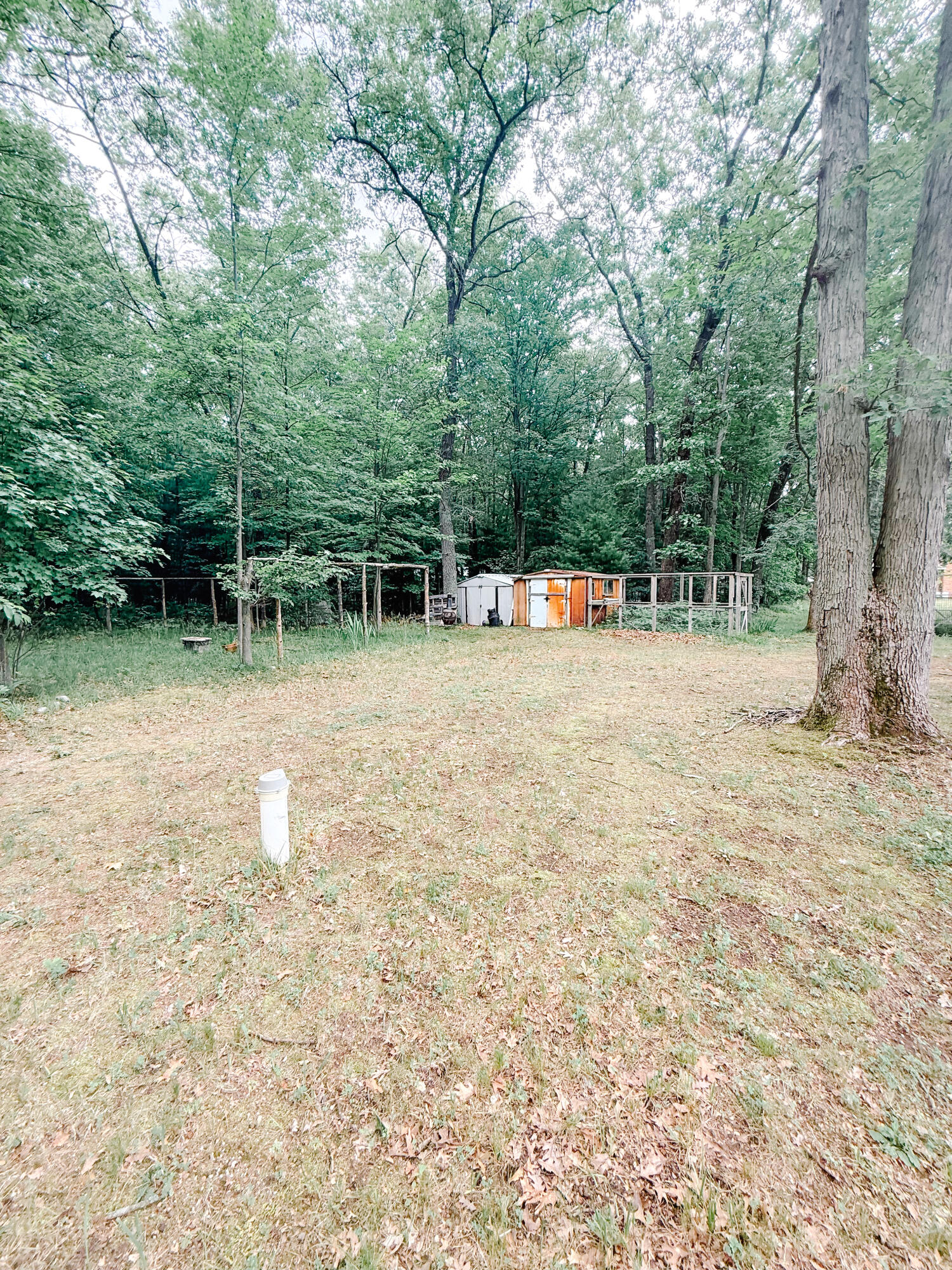 7704 Pine Creek Road Manistee, MI 49660 - Photo 3 of 13 IMG_5388