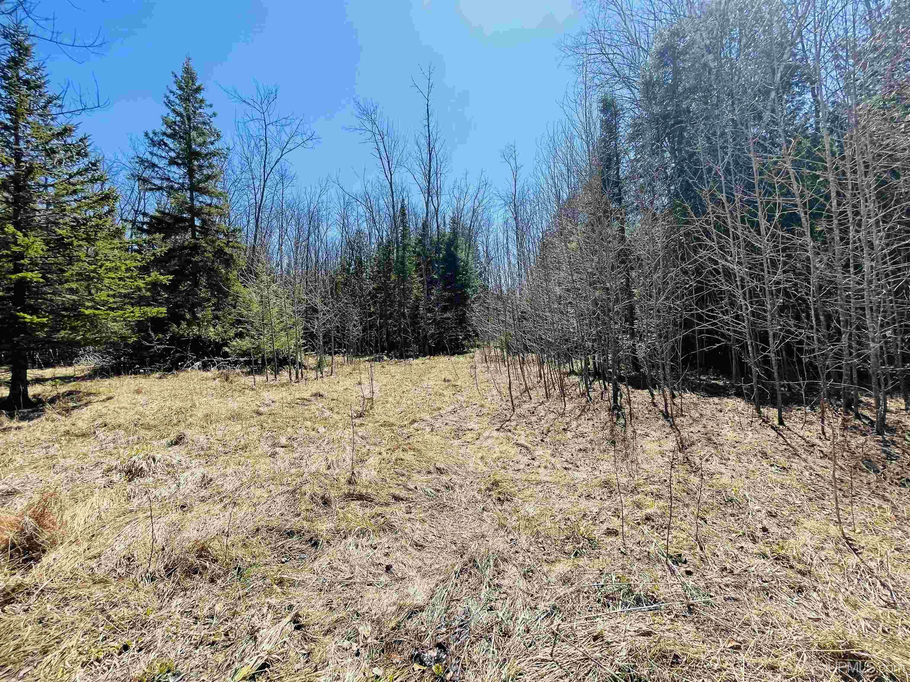 Tbd 11th Road Escanaba, MI 49829 - Photo 15 of 17