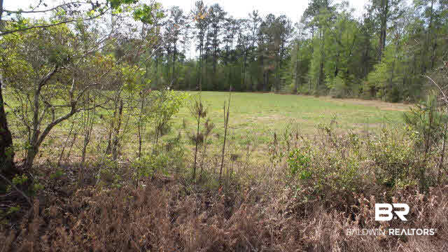 0 Fairford Road Calvert, AL 36513 - Photo 7 of 13 Gallery Image 7