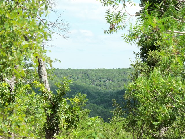 26-acres Red Hawk Road Wimberley, TX 78676 - Photo 1 of 1 Gallery Image 1