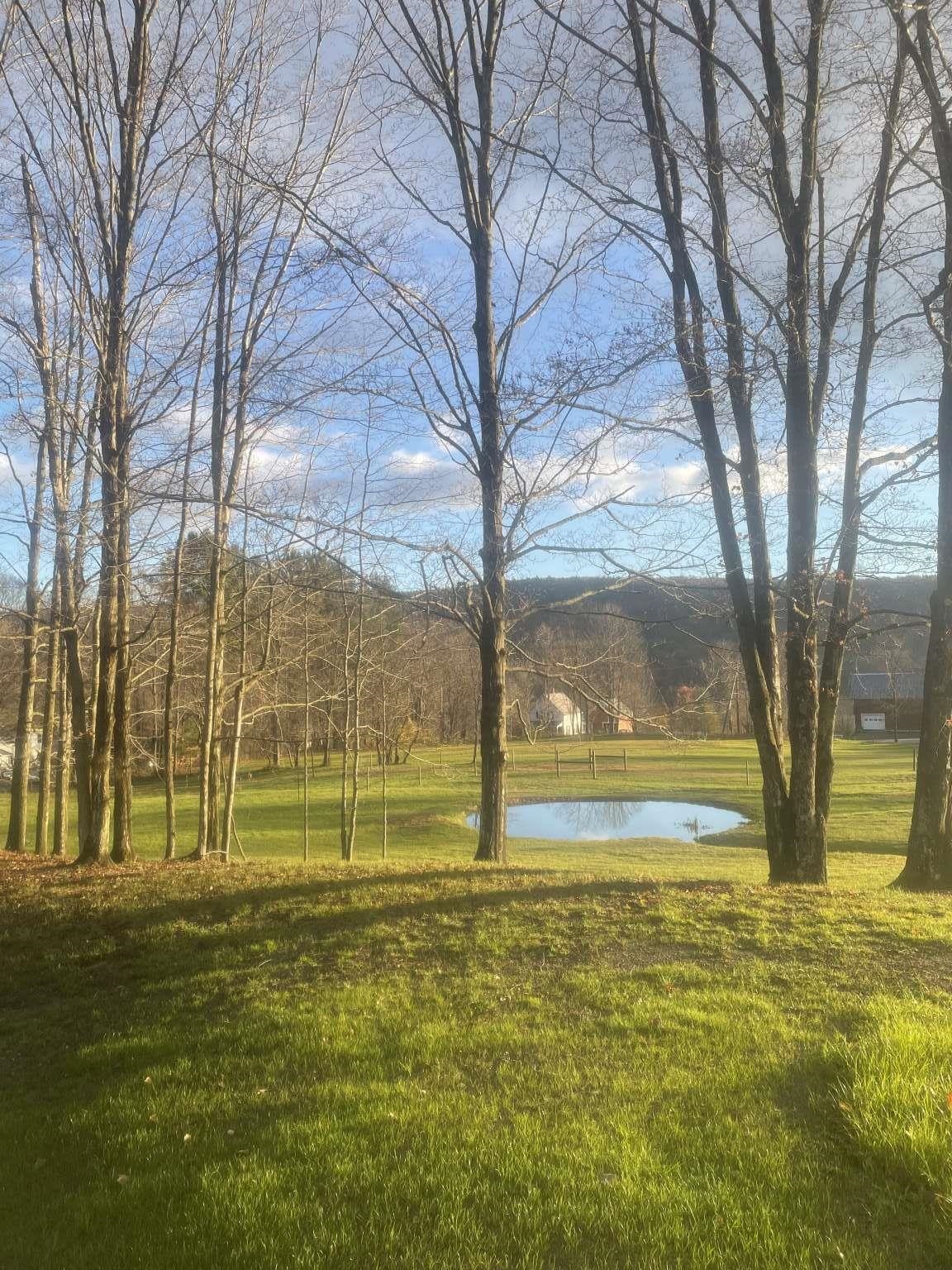 16 Springhill Road Putney, VT 05346 - Photo 3 of 40