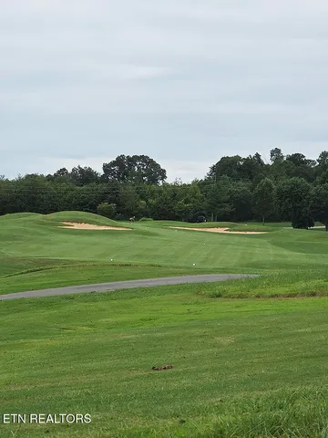 $29,800 | 148 White Hawk Drive, Vonore, TN 37885