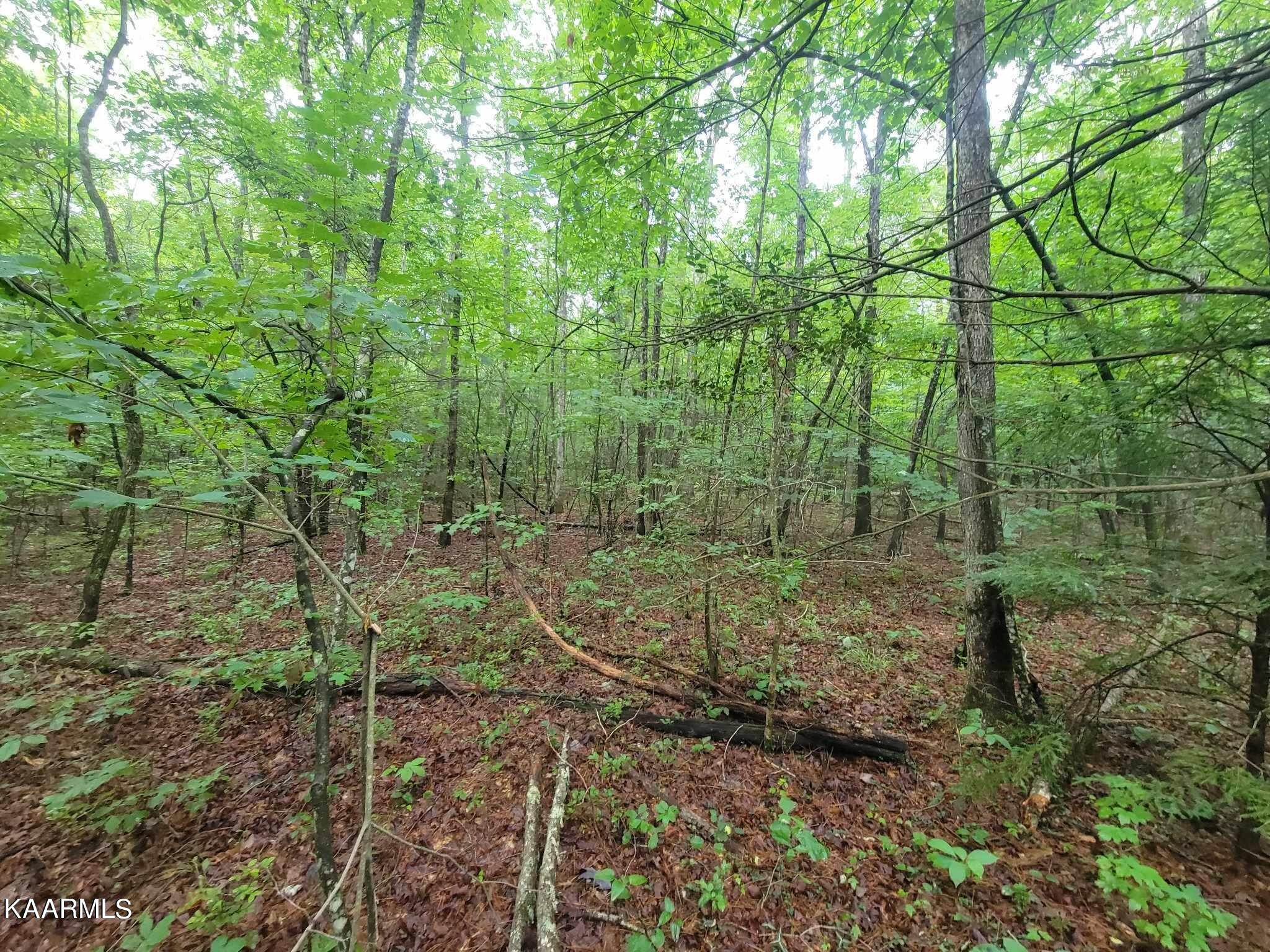 0 40 Model Farm Road Jamestown, TN 38556 - Photo 27 of 59