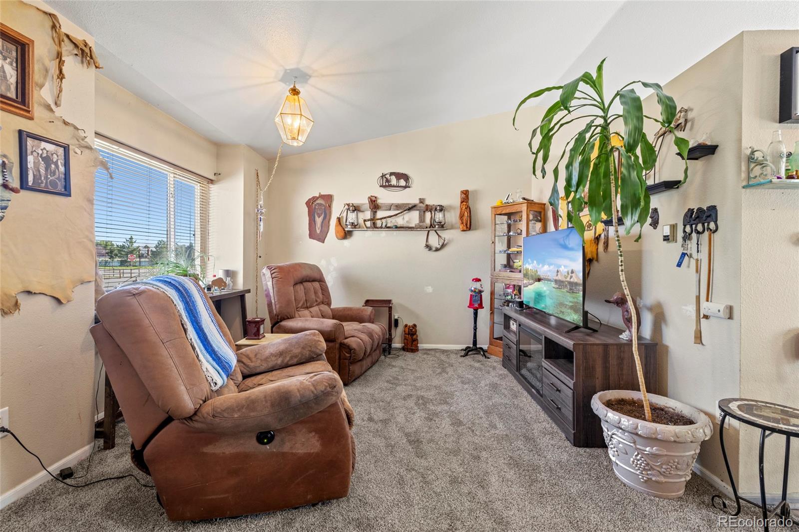 55 Chestnut Street Windsor, CO 80550 - Photo 18 of 41