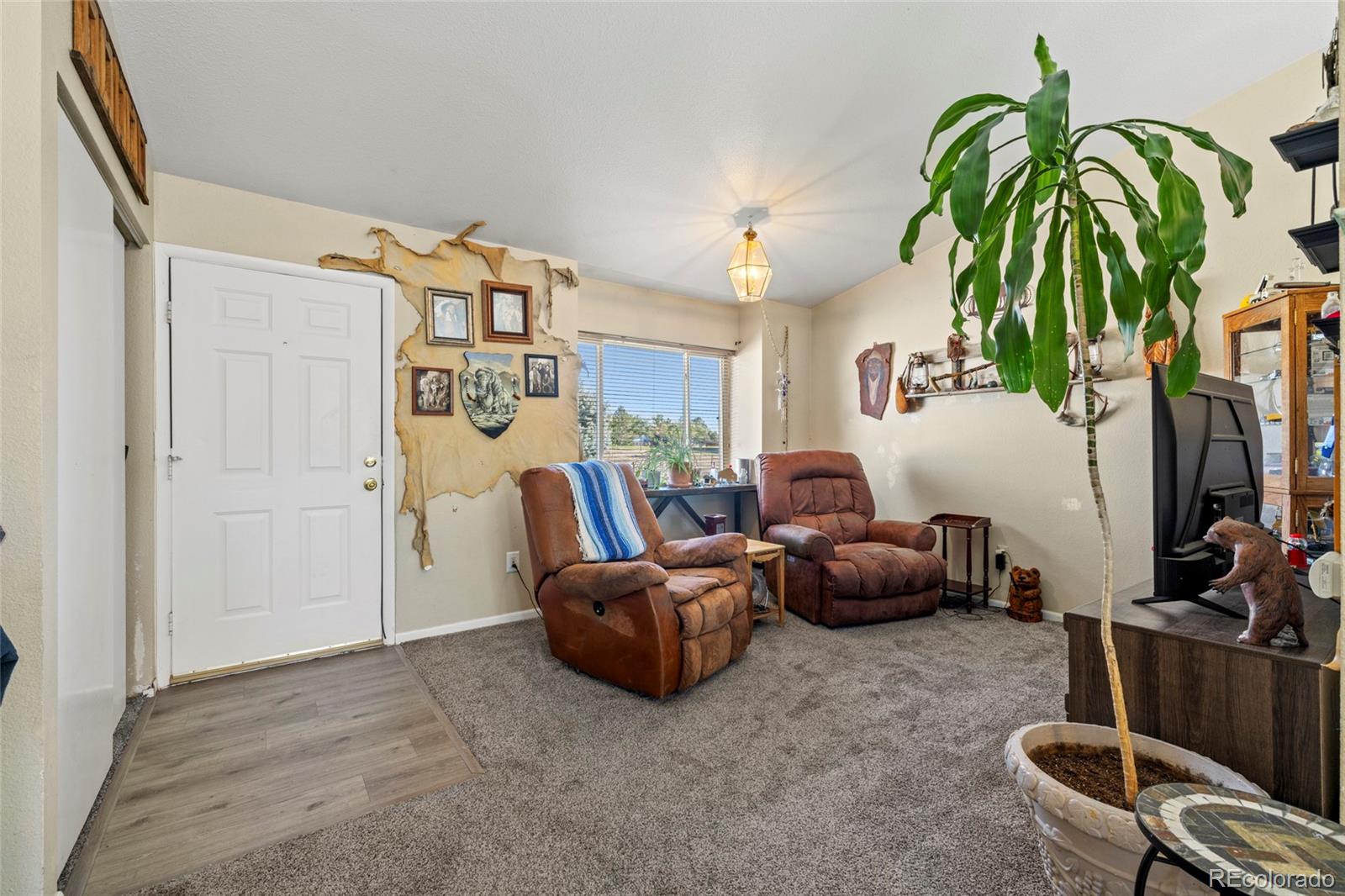 55 Chestnut Street Windsor, CO 80550 - Photo 19 of 41