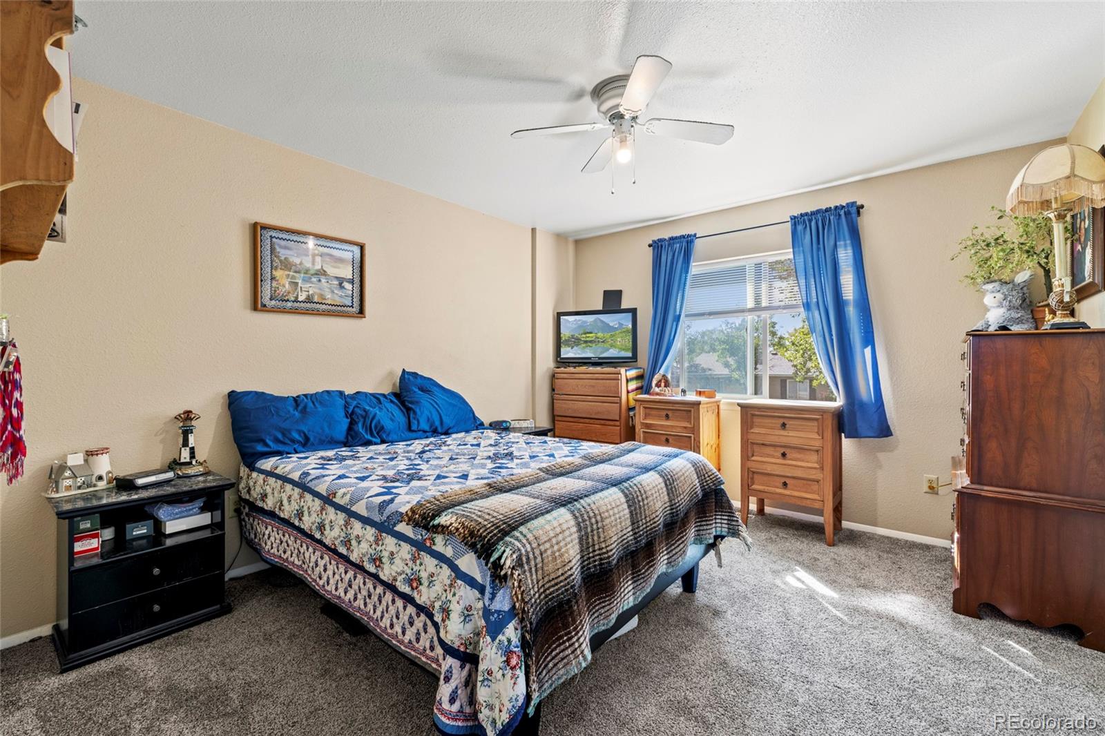 55 Chestnut Street Windsor, CO 80550 - Photo 27 of 41