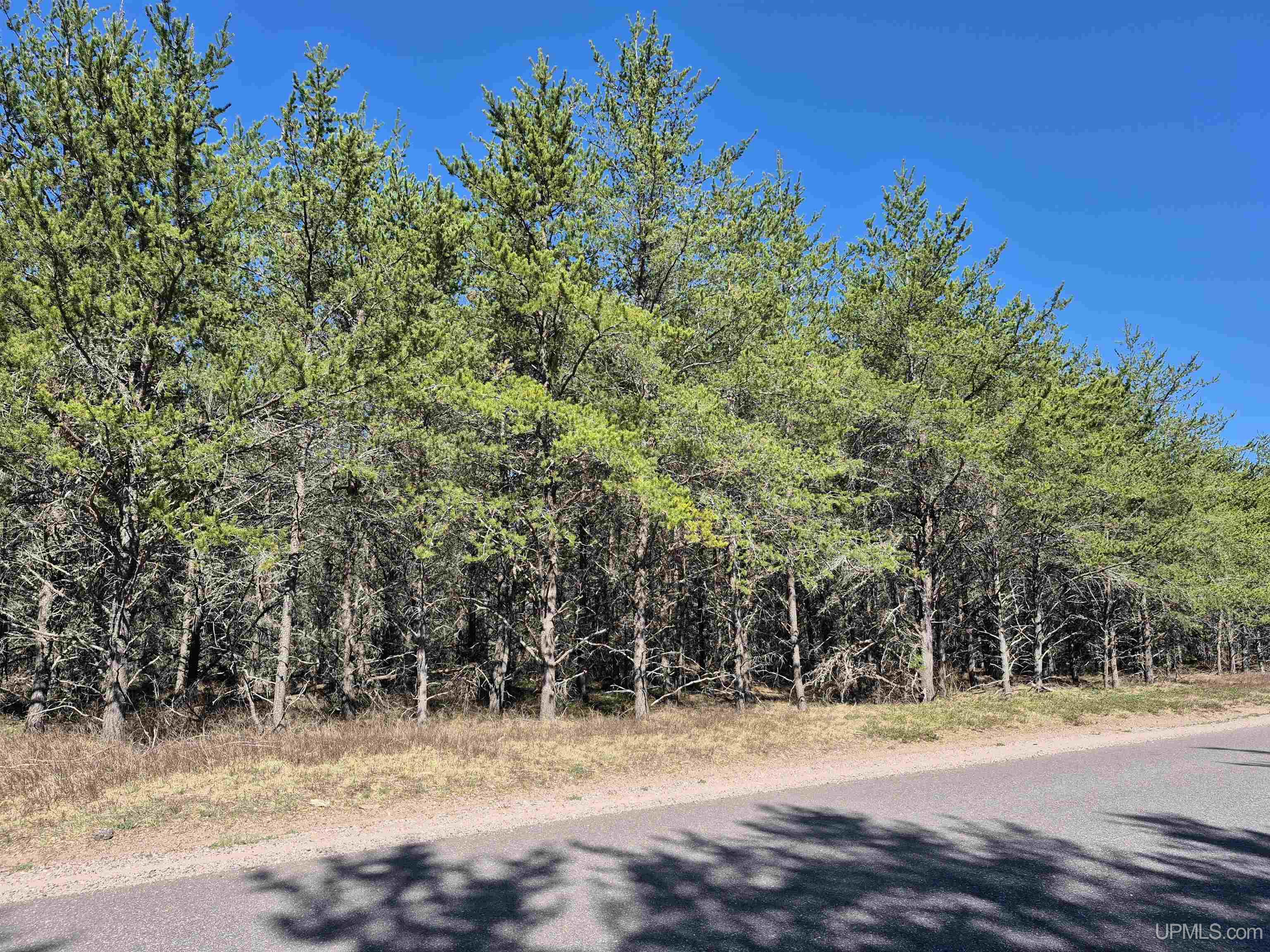 2 Rice Lake Road Gwinn, MI 49841 - Photo 5 of 24