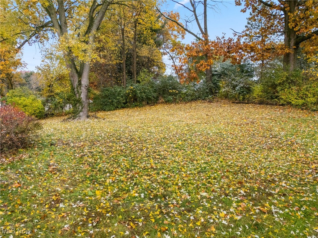 4727 15th Street Northwest Canton, OH 44708 - Photo 37 of 37 View of yard