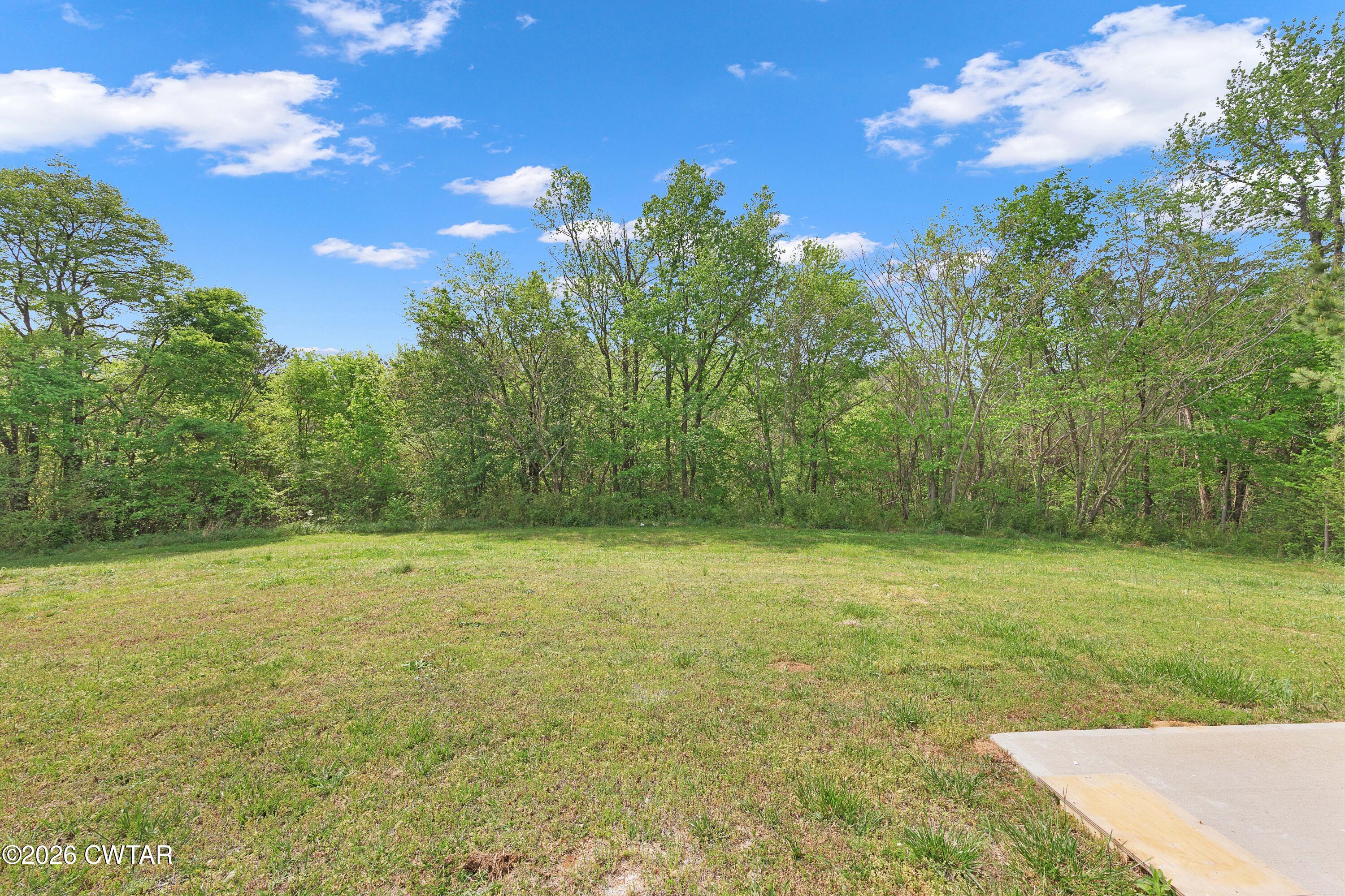 13761 Natchez Trace Road Lexington, TN 38351 - Photo 3 of 19 EN4A7555
