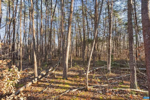 $665,000 | 1510 Beacon Hill, Afton, VA 22920