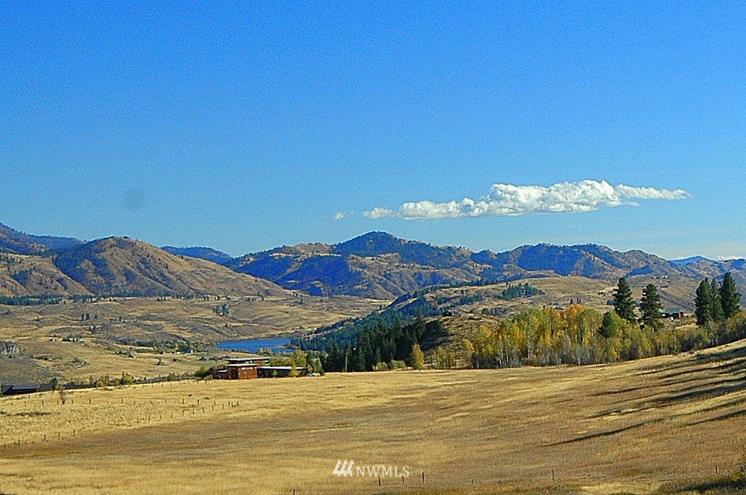 291 Rendezvous Road Winthrop, WA 98862 - Photo 22 of 25 Gallery Image 22