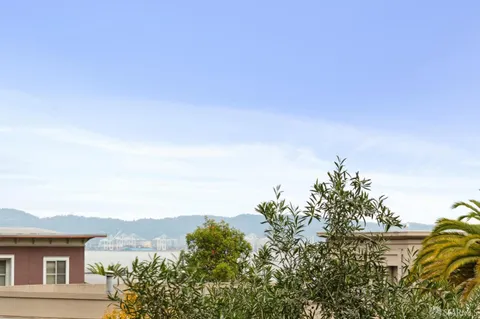 a view of a potted plants on a road