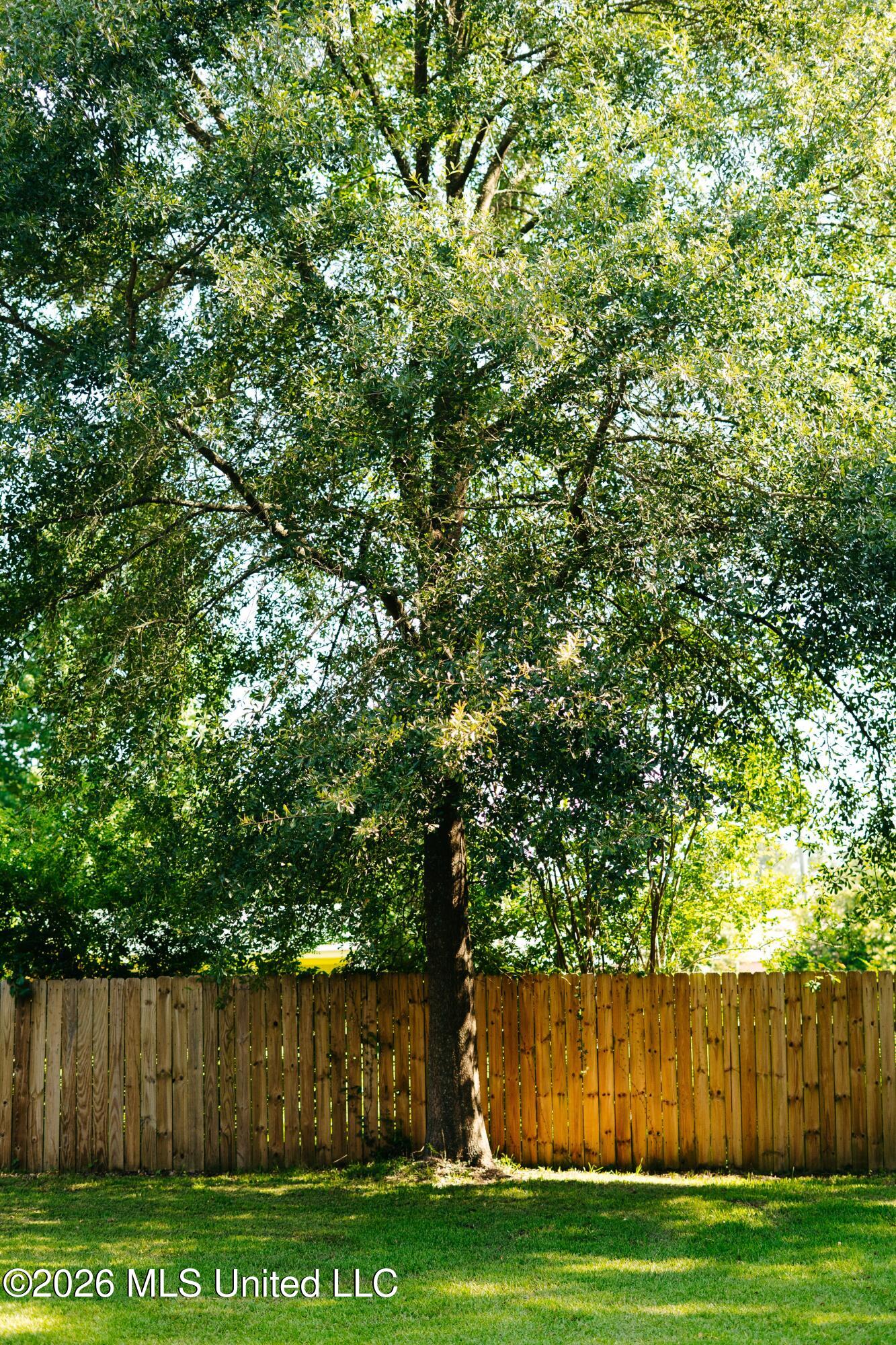 304 Spring Street Taylorsville, MS 39168 - Photo 22 of 39 DSC02635