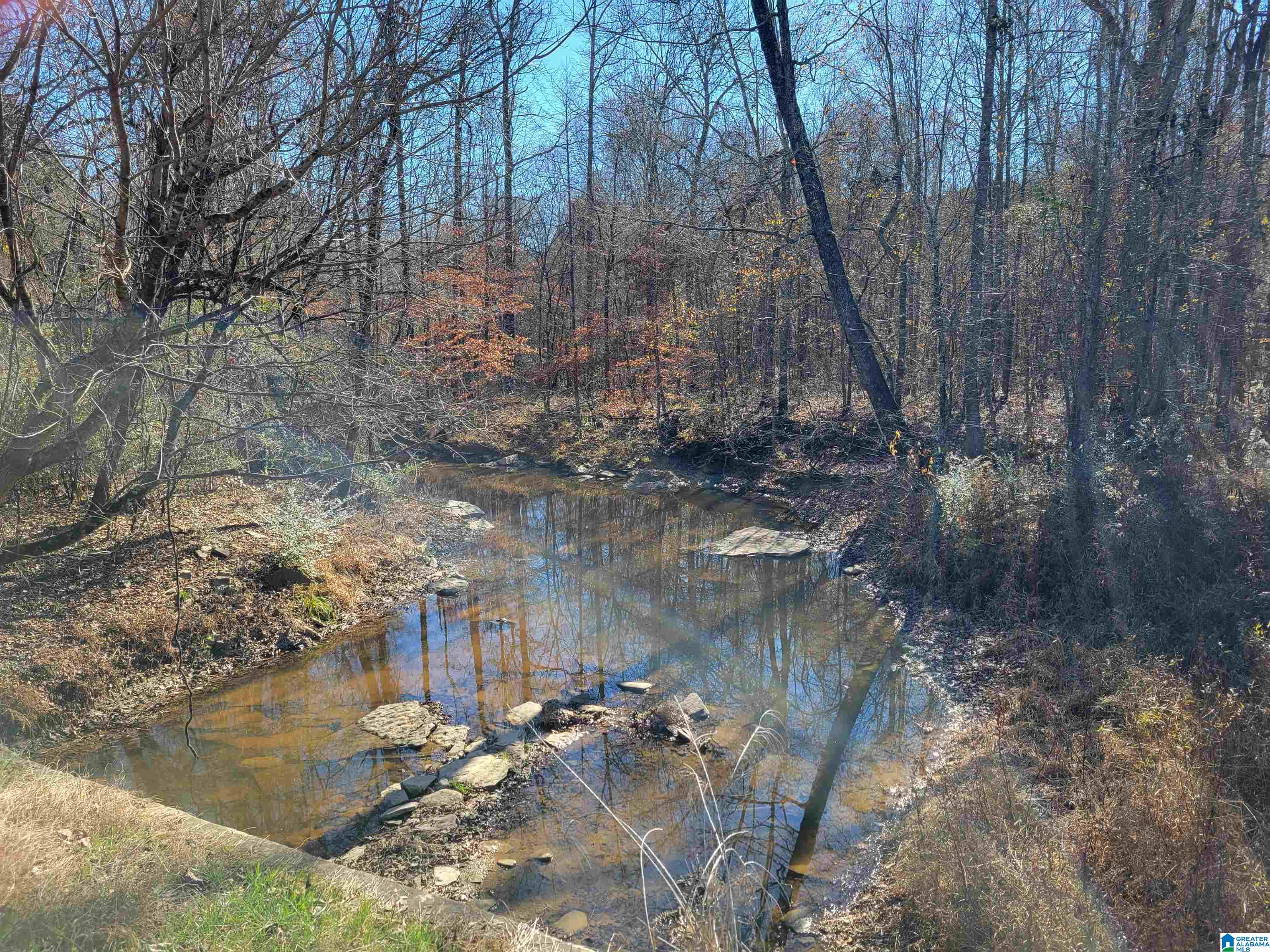 2194 County Road 818 Logan, AL 35098 - Photo 1 of 8