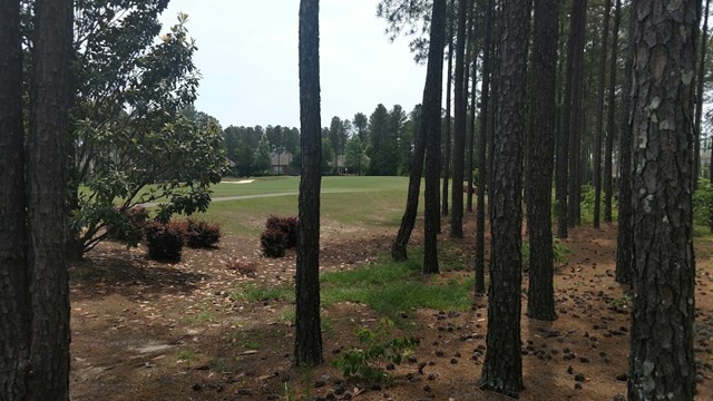 841 Steeplechase Road Aiken, SC 29803 - Photo 6 of 10