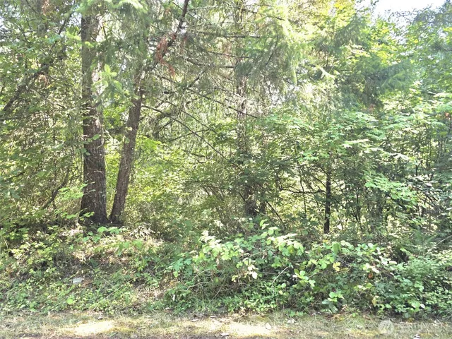 a backyard of a house