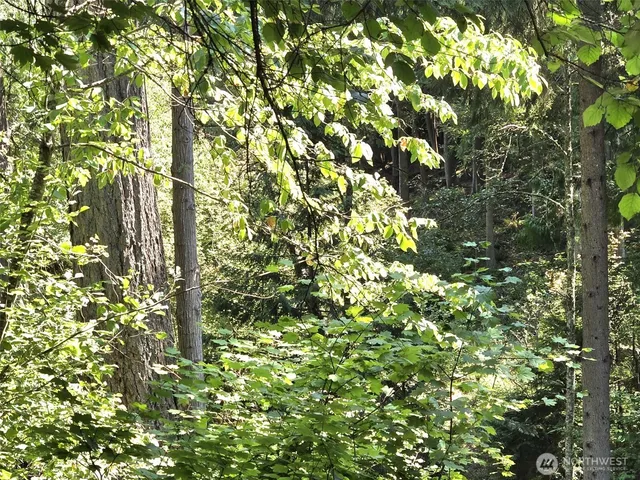 a view of yard with a play house